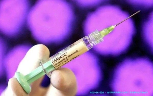 备孕期使用桑叶安全吗？专家解析近年数据与实用建议