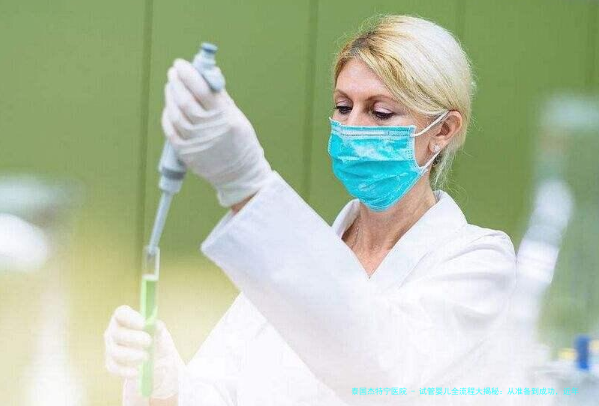 试管婴儿全流程大揭秘：从准备到成功，近年数据与真实体验分享