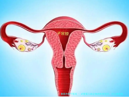 试管婴儿前必做的检查项目：2024最新指南