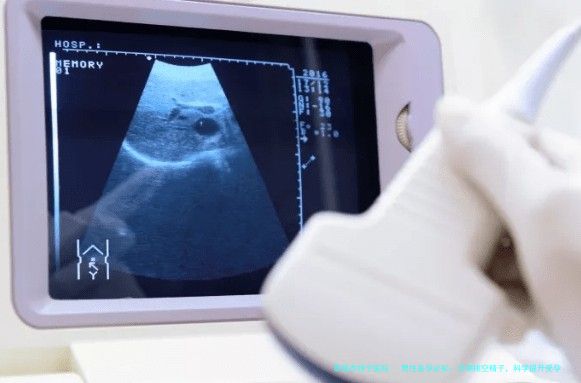 男性备孕必知：定期排空精子，科学提升受孕率！