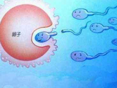 试管婴儿周期里如何进行卵泡监测?