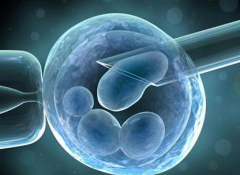 杰特宁试管科普：胚胎质量的好坏决定试管婴儿