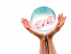 试管婴儿促排卵期间应该补充什么营养元素？