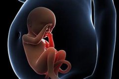 当试管婴儿胚胎在移植后当准妈妈的感觉！