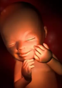 生殖专家科普：试管婴儿宝宝聪明吗？