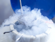 泰国试管婴儿胚胎冷冻是怎么保存的
