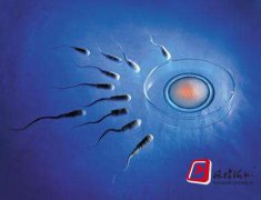 泰国试管婴儿会搞错胚胎移植吗？