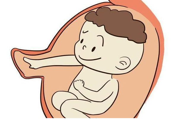 试管婴儿成功率,如何提高成功率