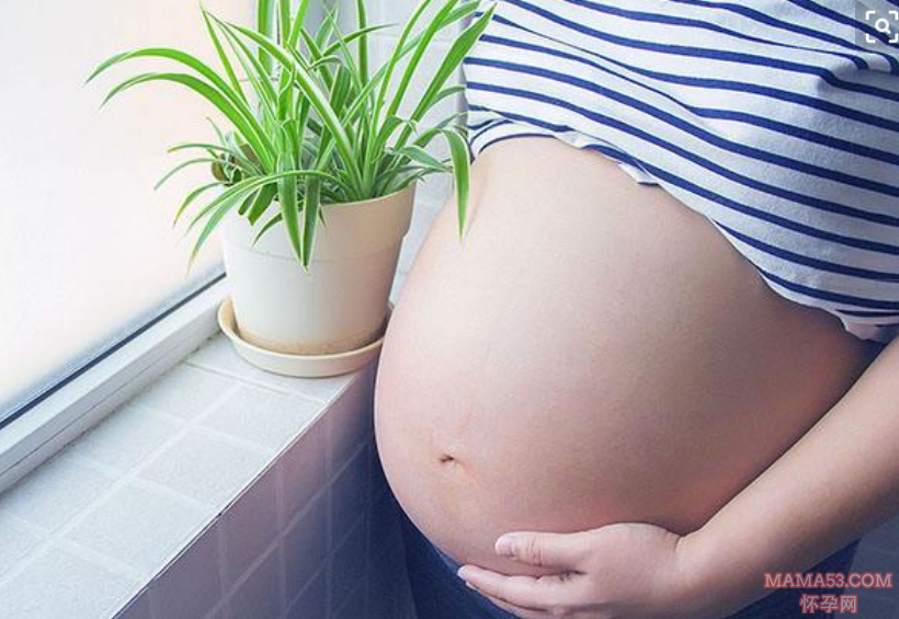 怀孕怎么样才能不长胖