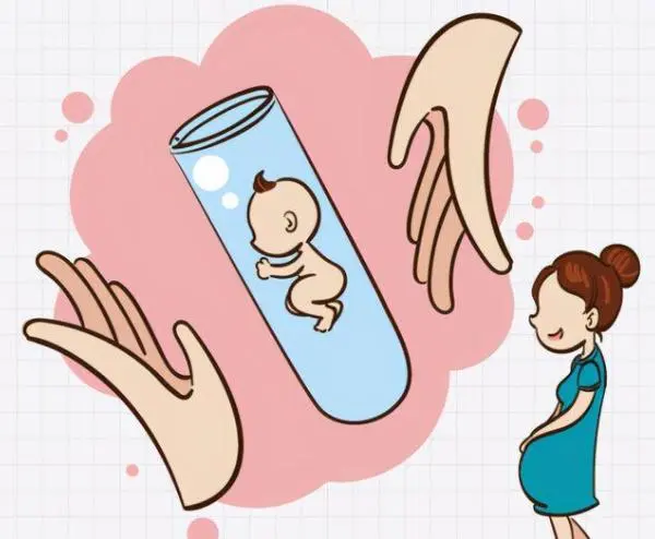 试管婴儿是怎么培育出来的，试管培育出的9c胚胎